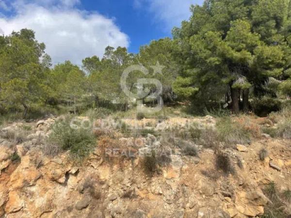 Terreno en calle Italia, 62