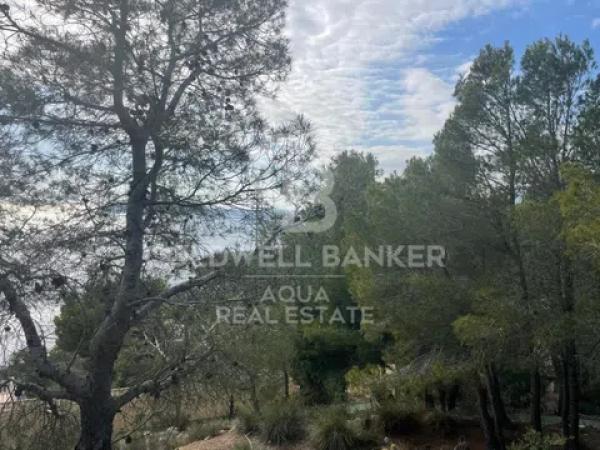 Terreno en calle Italia, 62