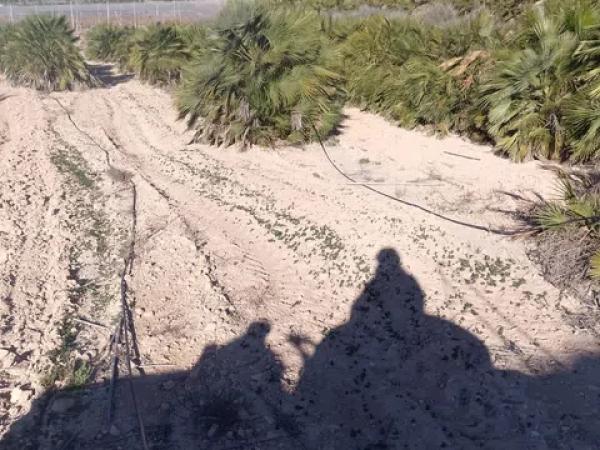 Terreno en carretera de Agost, 1