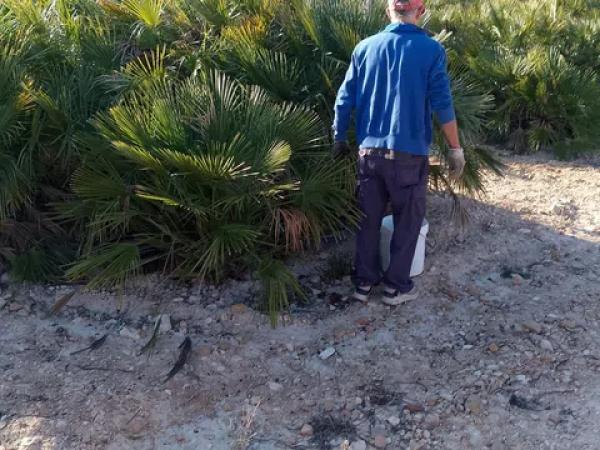 Terreno en carretera de Agost, 1