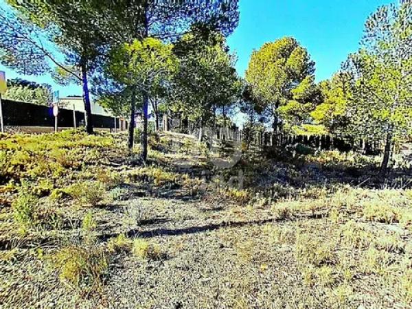 Terreno en avenida los Chopos, 41 -35