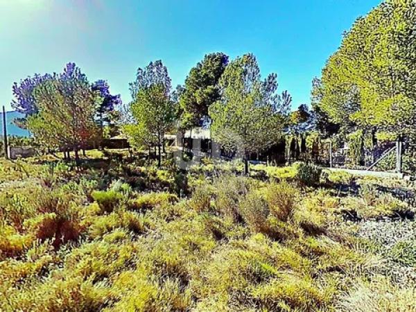 Terreno en avenida los Chopos, 41 -35