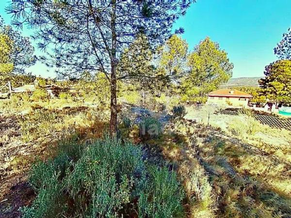 Terreno en avenida los Chopos, 41 -35