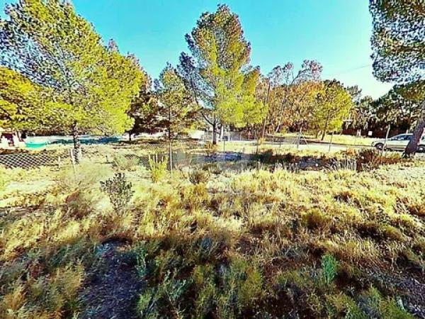 Terreno en avenida los Chopos, 41 -35