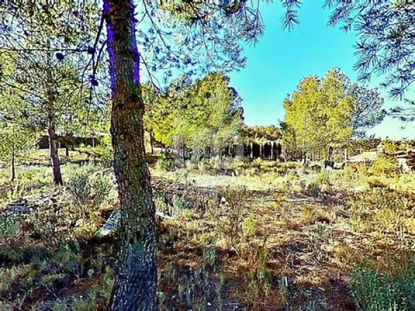 Terreno en avenida los Chopos, 41 -35