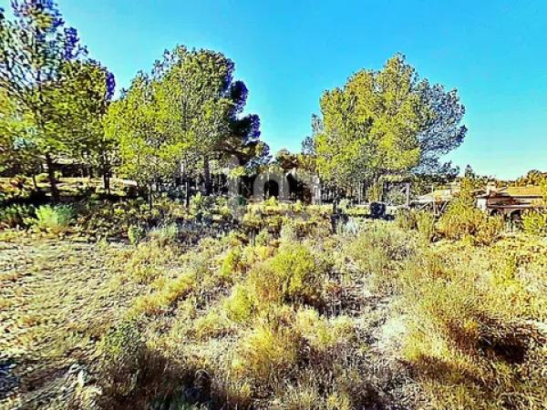 Terreno en avenida los Chopos, 41 -35