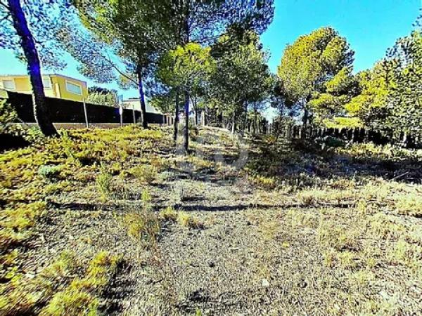 Terreno en avenida los Chopos, 41 -35