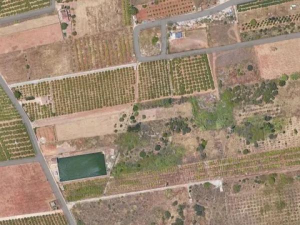 Terreno en El Verger