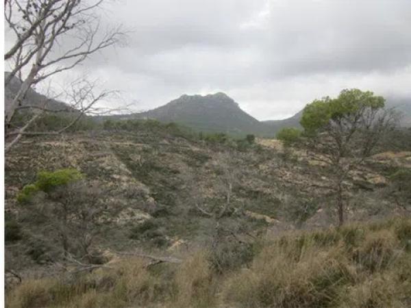 Terreno en calle Xaloc