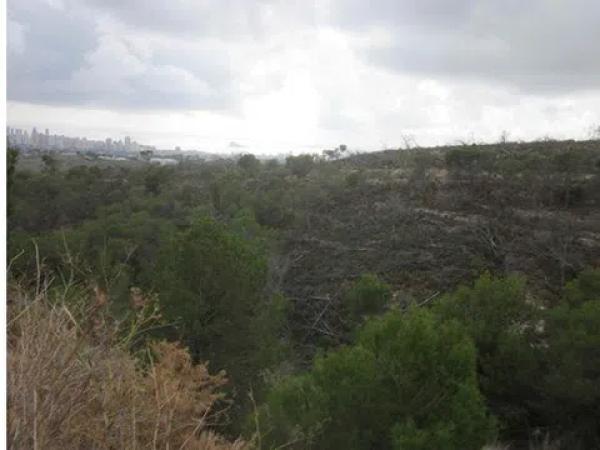 Terreno en calle Xaloc