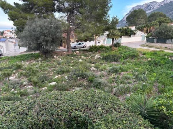 Terreno en calle Eros