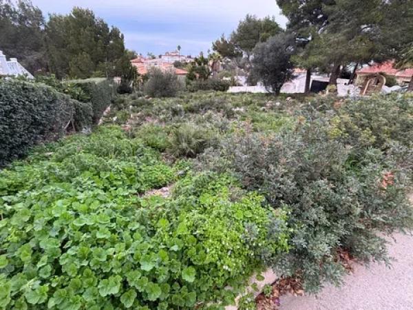 Terreno en calle Eros