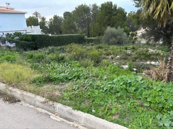 Terreno en calle Eros