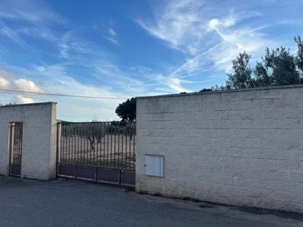 Terreno en calle Polígono, km 31