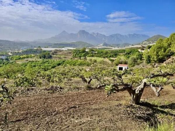 Terreno en Callosa d'En Sarria