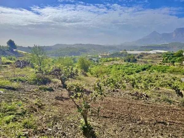 Terreno en Callosa d'En Sarria