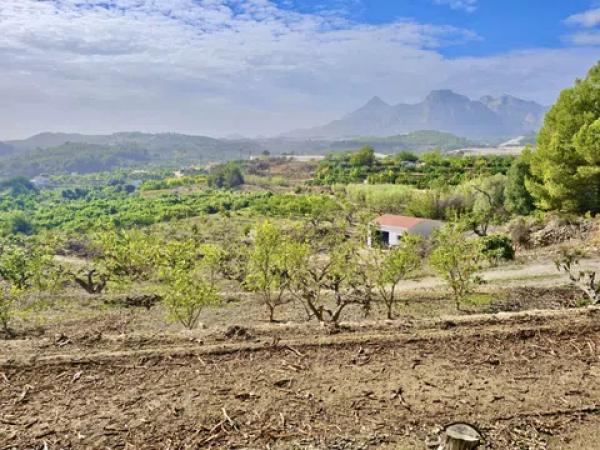 Terreno en Callosa d'En Sarria
