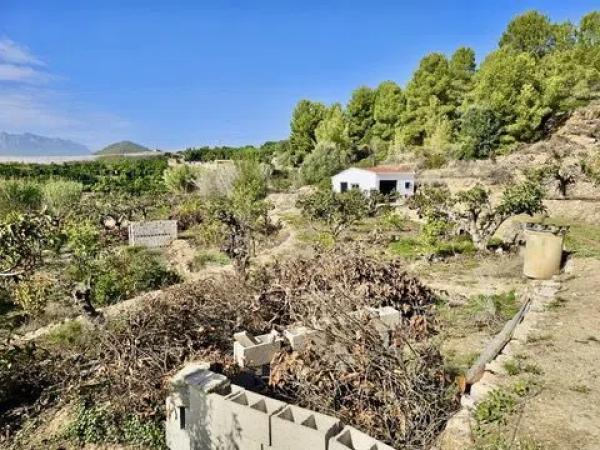 Terreno en Callosa d'En Sarria
