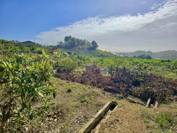 Terreno en Callosa d'En Sarria
