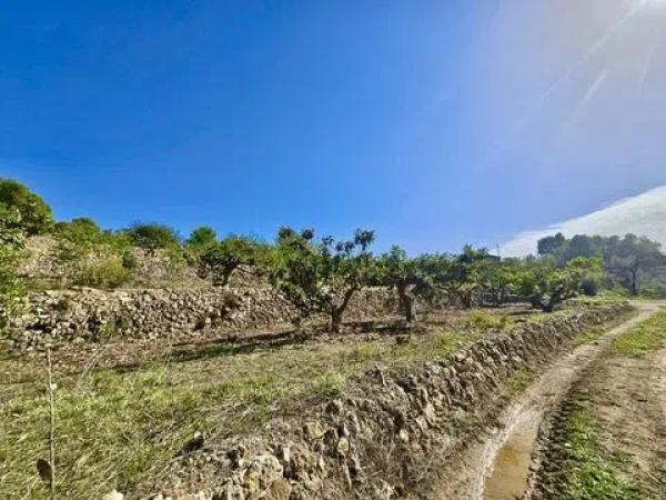 Terreno en Callosa d'En Sarria