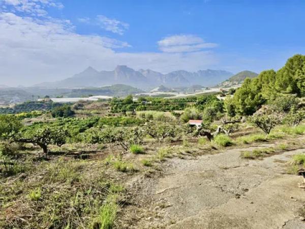 Terreno en Callosa d'En Sarria