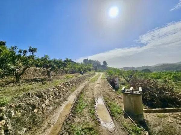 Terreno en Callosa d'En Sarria