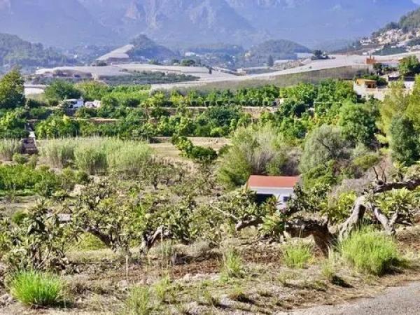 Terreno en Callosa d'En Sarria