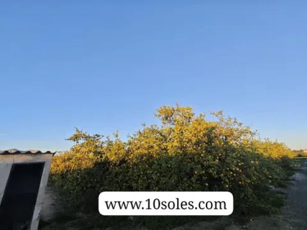 Terreno en Desamparados-Hurchillo-Torremendo