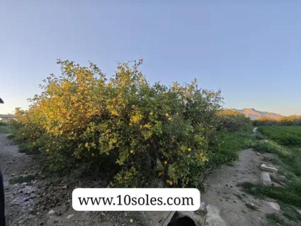 Terreno en Desamparados-Hurchillo-Torremendo