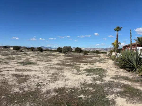 Terreno en puente alto Orihuela s/n