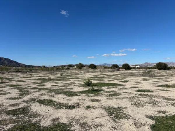 Terreno en puente alto Orihuela s/n