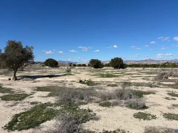 Terreno en puente alto Orihuela s/n