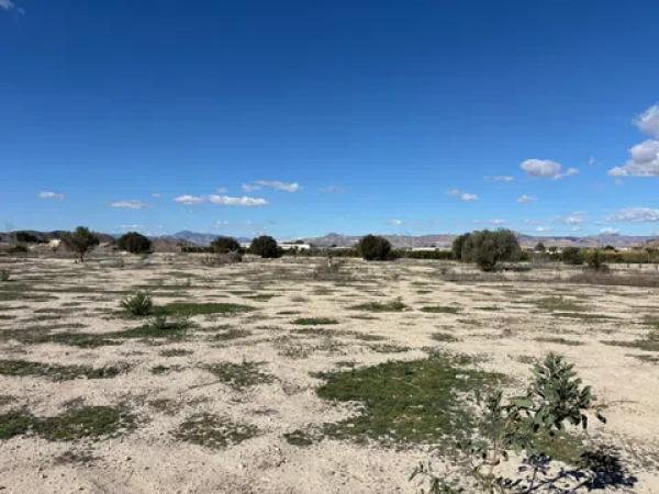 Terreno en puente alto Orihuela s/n