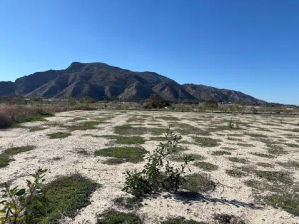 Terreno en puente alto Orihuela s/n