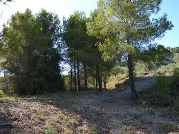 Terreno en Benimantell