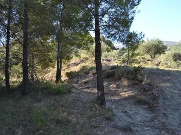 Terreno en Benimantell