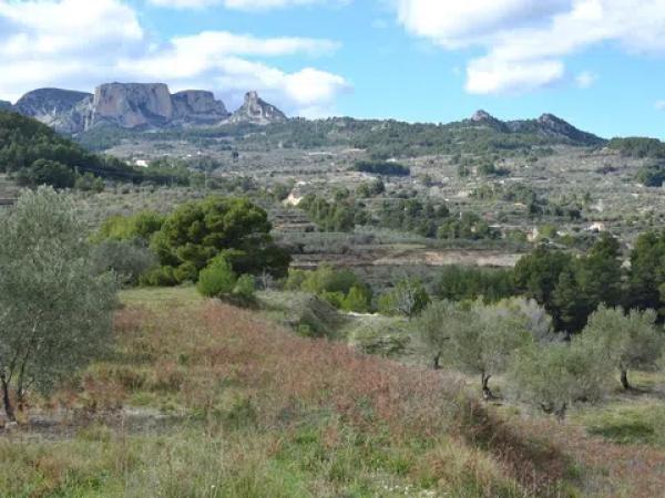 Terreno en Benimantell
