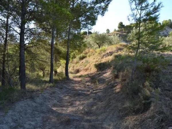 Terreno en Benimantell