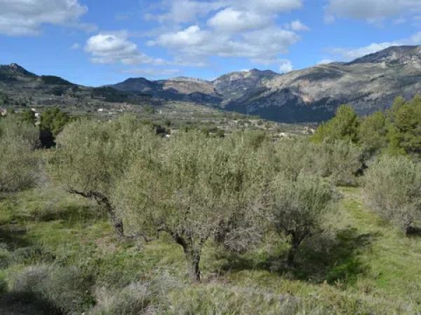 Terreno en Benimantell