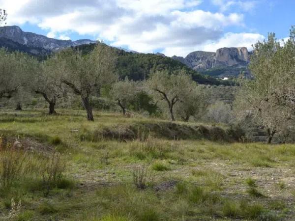 Terreno en Benimantell