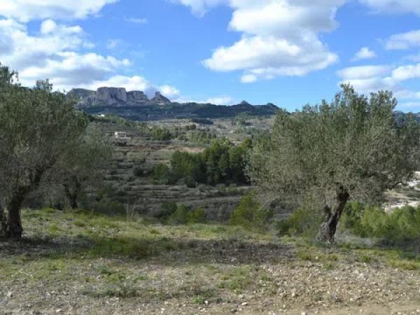 Terreno en Benimantell