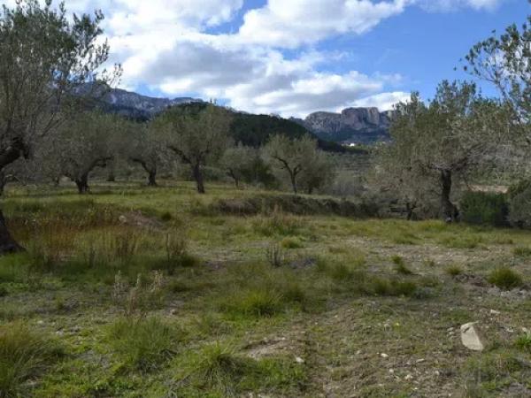 Terreno en Benimantell