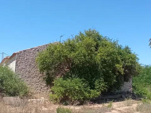 Terreno en Cv-905 s/n