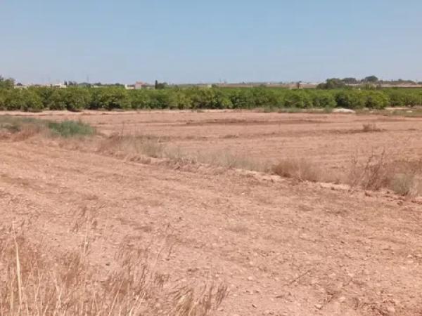 Terreno en Cv-905 s/n