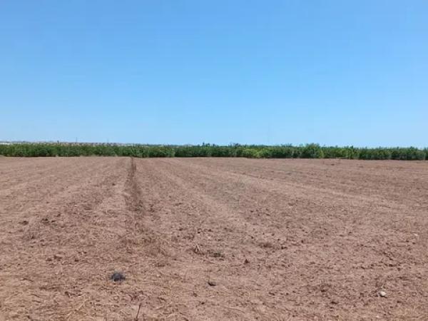 Terreno en Cv-905 s/n