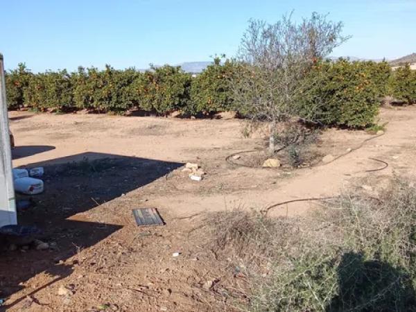 Terreno en calle Lo Marquès s/n