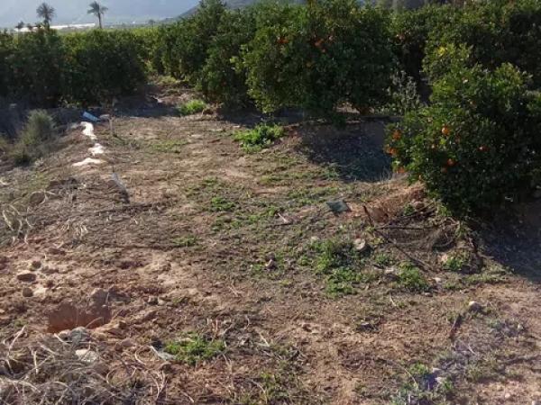 Terreno en calle Lo Marquès s/n