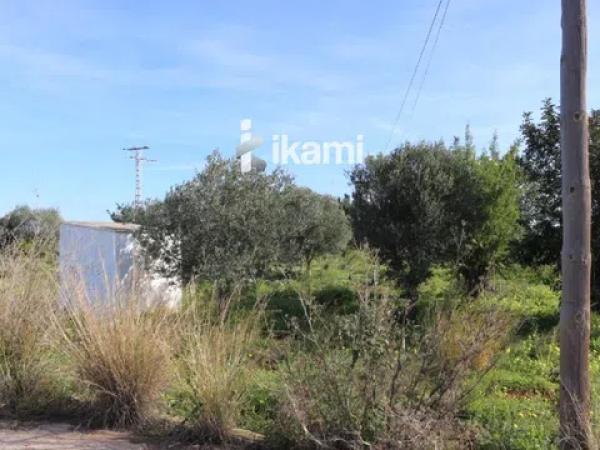 Terreno en Els Poblets