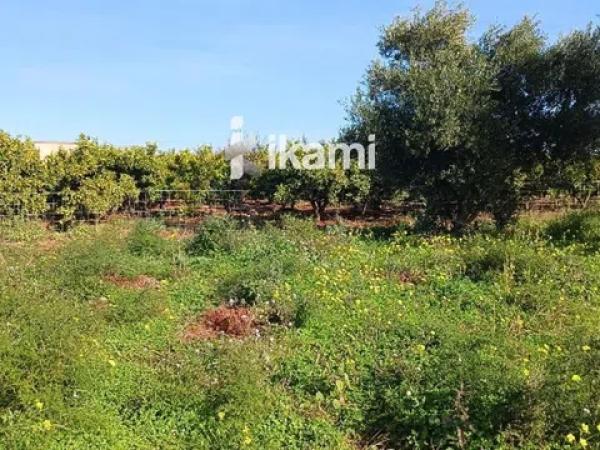 Terreno en Els Poblets