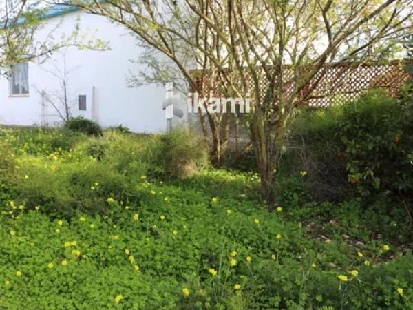 Terreno en Els Poblets